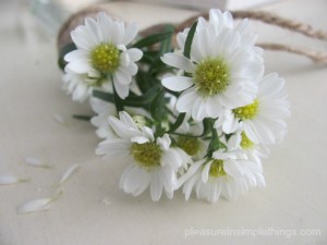 random acts of flowers — pleasure in simple things