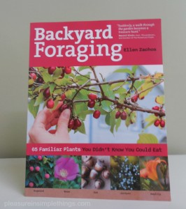 backyard foraging
