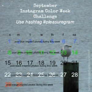 September Instagram Challenge