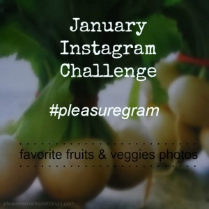 January Instagram Challenge