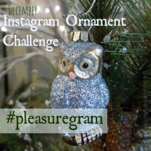 december instagram challenge