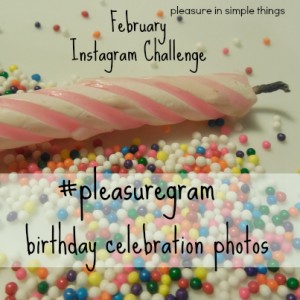 February Instagram Challenge