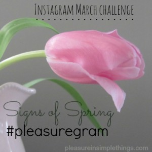 march instagram challenge