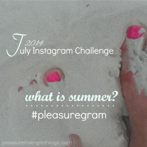 instagram challenge 2014 pleasure in simple things