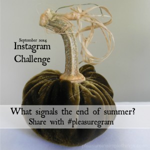 Instagram challenge september 2014 pleasure in simple things