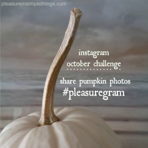 October Instagram challenge pleasure in simple things