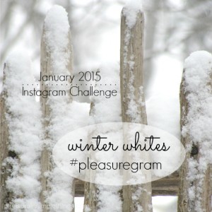 Jan 2015 Instagram Challenge pleasure in simple things blog