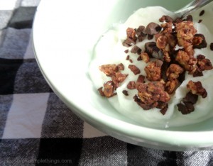 chocolate granola for breakfast pleasure in simple things blog