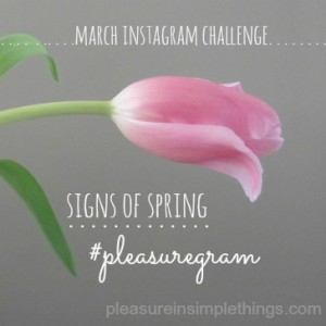 march 2015 instagram challenge pleasure in simple things blog