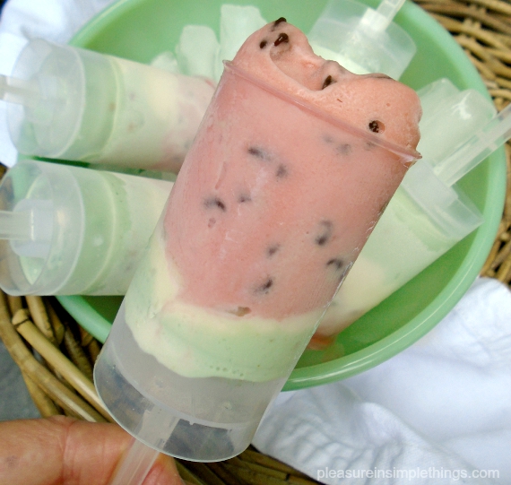 https://pleasureinsimplethings.com/wp-content/uploads/2015/09/a-watermelon-ice-cream-pop-pleasure-in-simple-things-blog.jpg