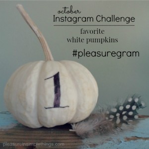 Instagram challenge october 2015 pleasure in simple things blog