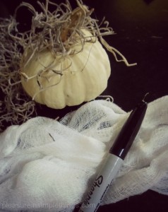 supplies for a mummy pumpkins pleasure in simple things