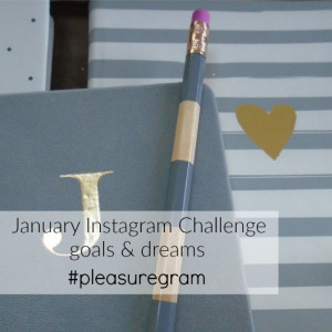 January 2016 Instagram challenge pleasure in simple things blog