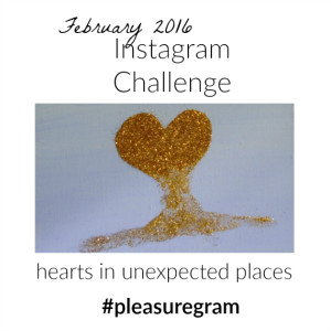 Feb 2016 Instagram Challenge pleasure in simple things blog