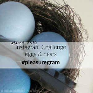 Instagram Challenge March 2016 eggs and nests