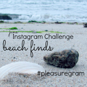 june 2016 instagram challenge plesure in simple things blog