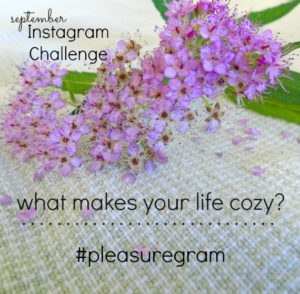 Instagram Challenge September 2016 Book Giveaway pleasure in simple things blog