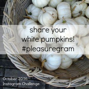 october-2016-instagram-challenge-pleasure-in-simple-things-blog