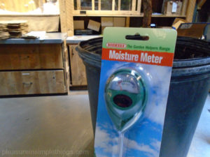 moisture meter for plants pleasure in simple things blog