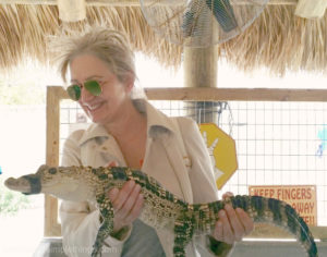 touching an alligator pleasure in simple things blog