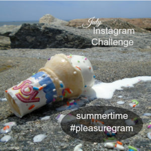 july instagram challenge pleasure in simple things blog