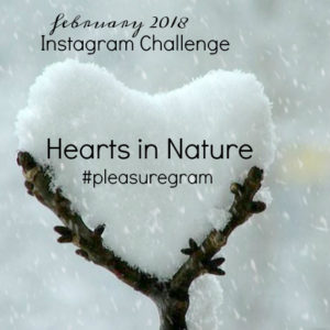 February 2018 Instagram Challenge