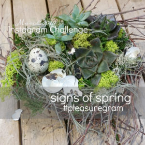 March 2018 Instagram Challenge