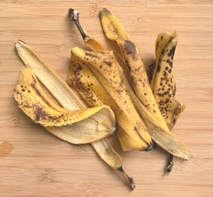 banana peels