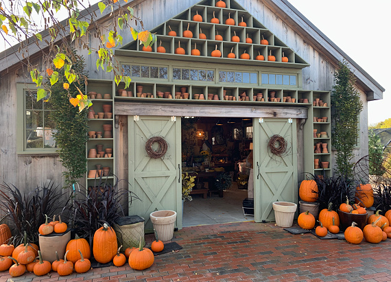 open barn with pumpkins
