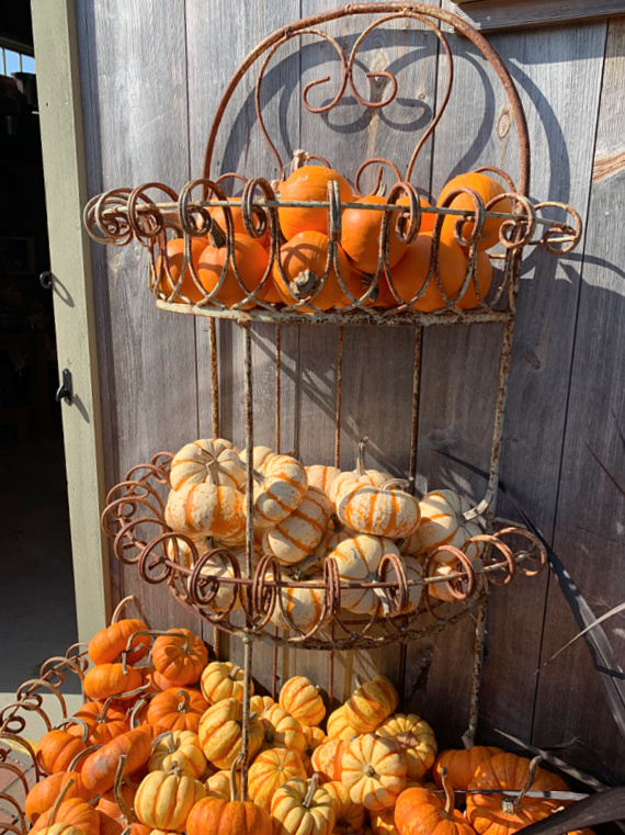 tiers of pumpkins